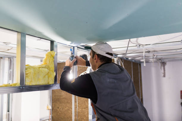 Best Crawl Space Insulation  in Palmetto, FL