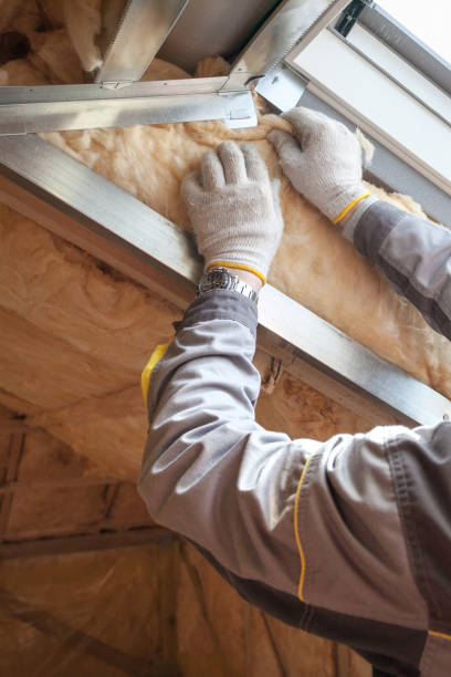 Insulation Repair Services in Palmetto, FL